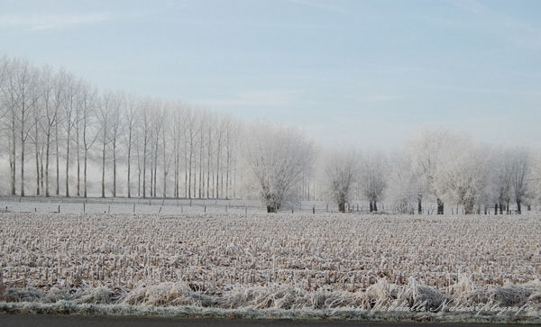 Beverhoutsveld4