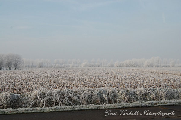 Beverhoutsveld5