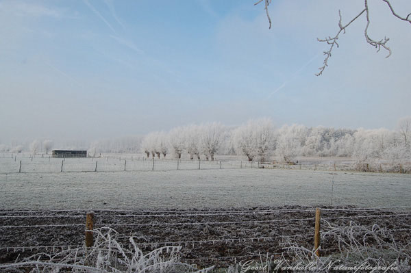 Beverhoutsveld6