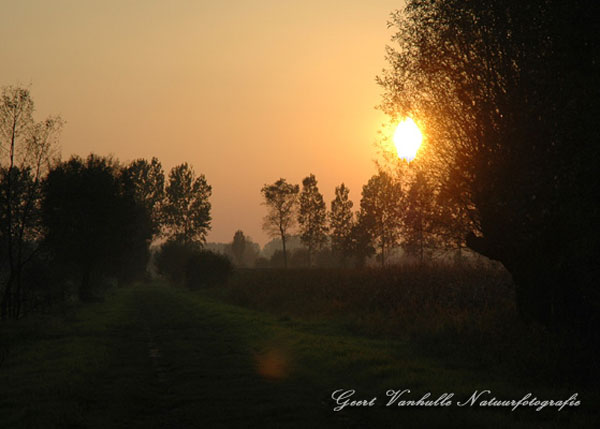 Beverhoutsveld8