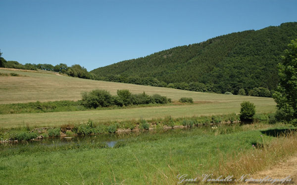 Burg Reuland 4