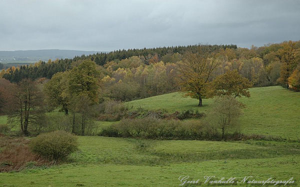Engreux in de herfst