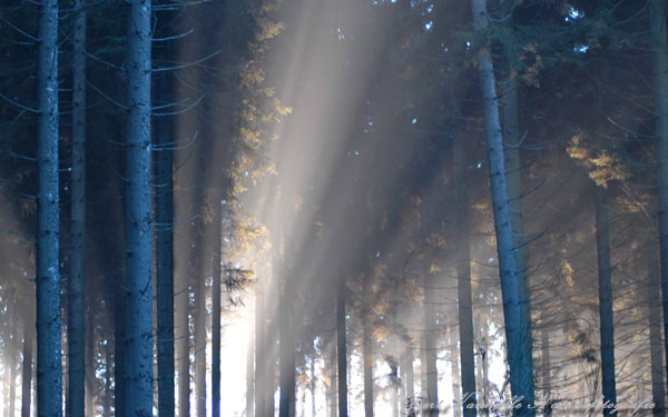 Invallend morgenlicht