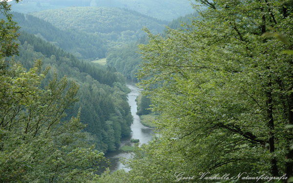 Keltische cite Berismenil