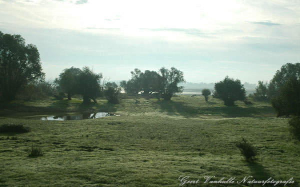 Lac du Der 2