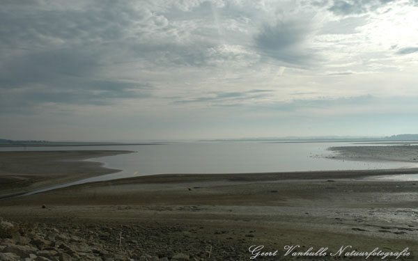 Lac du Der 5