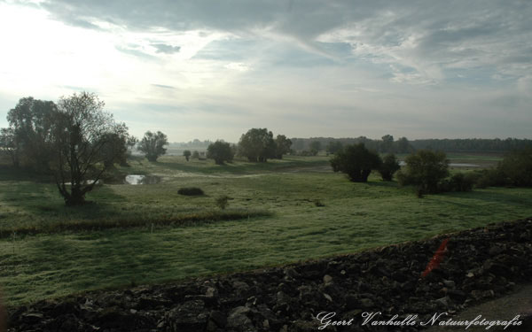 Lac du Der 6