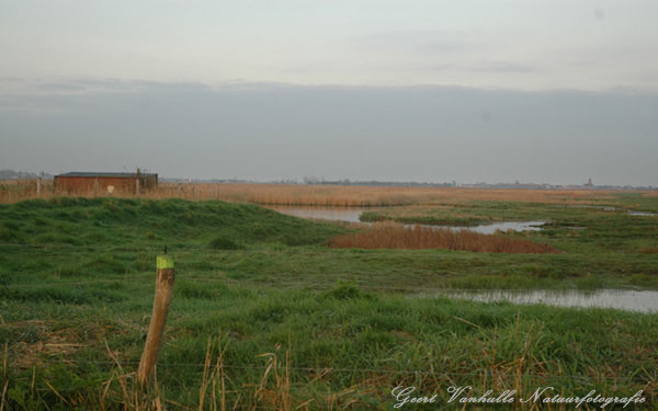 Uitkerkse polder