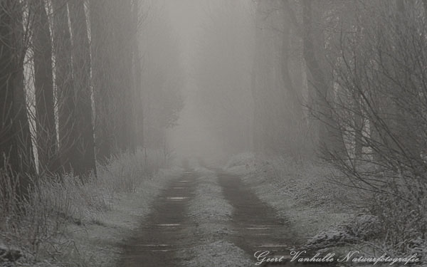 Winterdreef