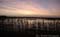 Uitkerkse polder vroege morgen 2