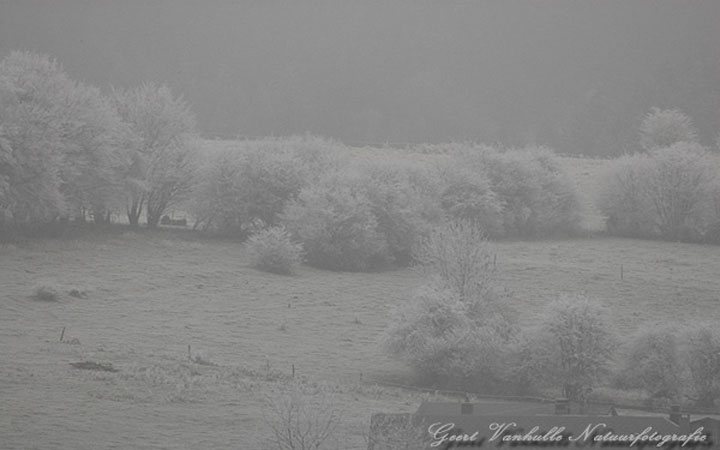 Winters landschap