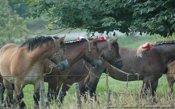 Van links naar rechts